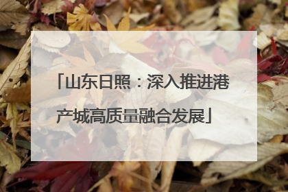 山东日照：深入推进港产城高质量融合发展