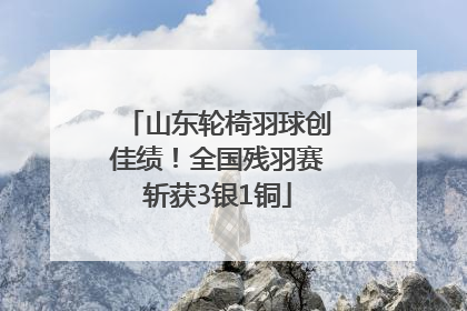 山东轮椅羽球创佳绩！全国残羽赛斩获3银1铜