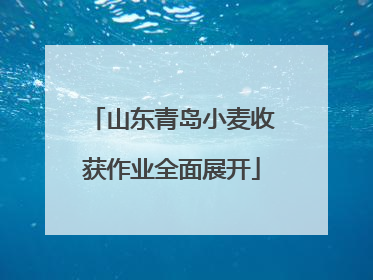 山东青岛小麦收获作业全面展开
