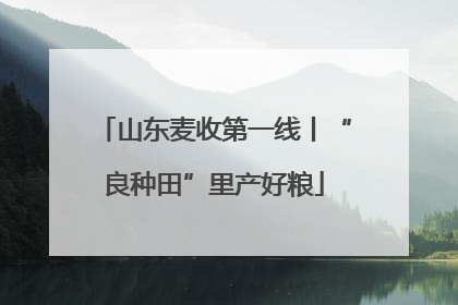 山东麦收第一线丨“良种田”里产好粮
