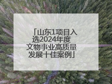 山东1项目入选2024年度文物事业高质量发展十佳案例