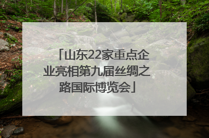 山东22家重点企业亮相第九届丝绸之路国际博览会