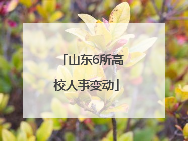 山东6所高校人事变动