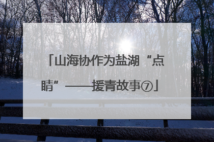 山海协作为盐湖“点睛”——援青故事⑦