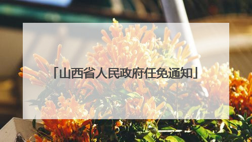 山西省人民政府任免通知