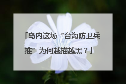 岛内这场“台海防卫兵推”为何越描越黑？