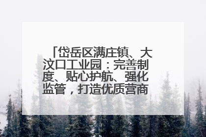岱岳区满庄镇、大汶口工业园：完善制度、贴心护航、强化监管，打造优质营商“强磁场”