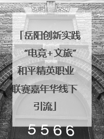 岳阳创新实践“电竞+文旅” 和平精英职业联赛嘉年华线下引流
