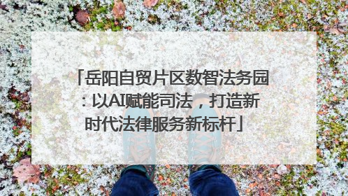 岳阳自贸片区数智法务园：以AI赋能司法，打造新时代法律服务新标杆