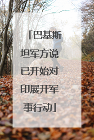 巴基斯坦军方说已开始对印展开军事行动