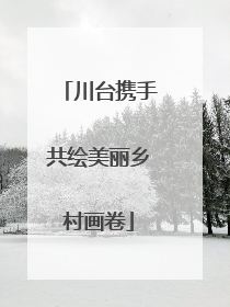 川台携手共绘美丽乡村画卷