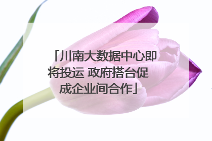 川南大数据中心即将投运 政府搭台促成企业间合作