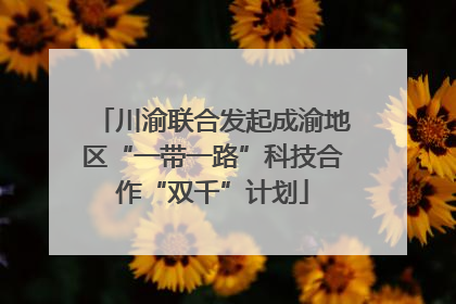 川渝联合发起成渝地区“一带一路”科技合作“双千”计划