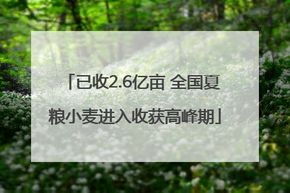 已收2.6亿亩 全国夏粮小麦进入收获高峰期