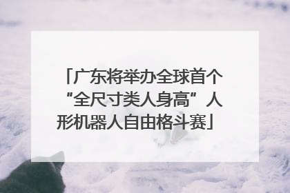 广东将举办全球首个“全尺寸类人身高”人形机器人自由格斗赛