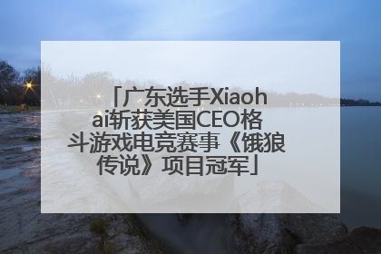 广东选手Xiaohai斩获美国CEO格斗游戏电竞赛事《饿狼传说》项目冠军
