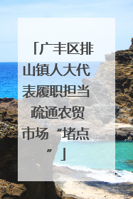 广丰区排山镇人大代表履职担当 疏通农贸市场“堵点”