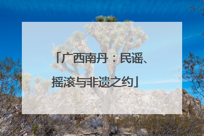 广西南丹：民谣、摇滚与非遗之约