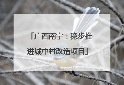 广西南宁：稳步推进城中村改造项目