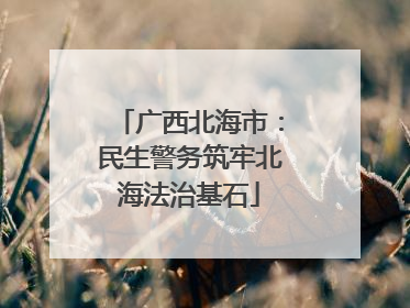广西北海市：民生警务筑牢北海法治基石
