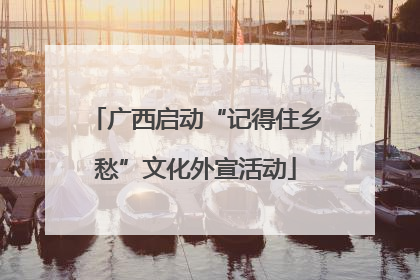 广西启动“记得住乡愁”文化外宣活动