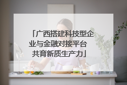 广西搭建科技型企业与金融对接平台 共育新质生产力