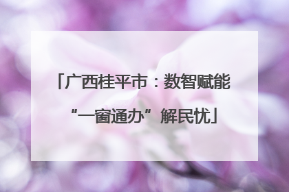 广西桂平市：数智赋能“一窗通办”解民忧