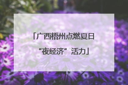 广西梧州点燃夏日“夜经济”活力