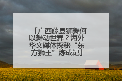 广西藤县狮舞何以舞动世界？海外华文媒体探秘“东方狮王”炼成记