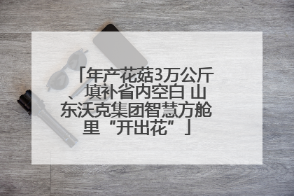 年产花菇3万公斤、填补省内空白 山东沃克集团智慧方舱里“开出花”
