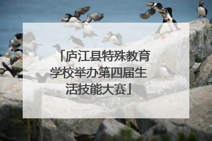 庐江县特殊教育学校举办第四届生活技能大赛