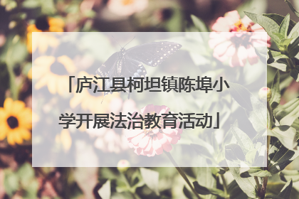 庐江县柯坦镇陈埠小学开展法治教育活动