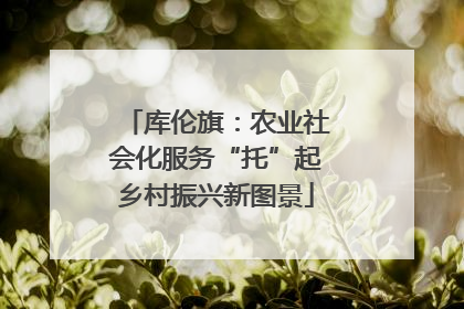 库伦旗：农业社会化服务“托”起乡村振兴新图景
