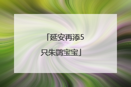 延安再添5只朱鹮宝宝