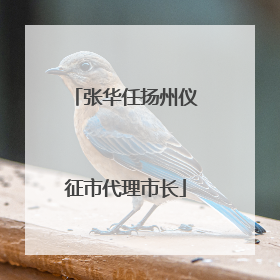 张华任扬州仪征市代理市长