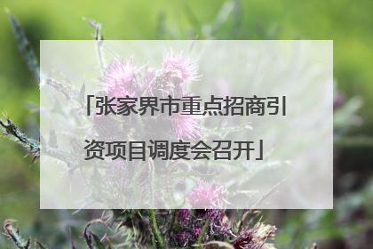 张家界市重点招商引资项目调度会召开