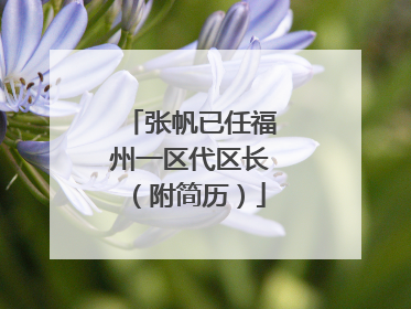 张帆已任福州一区代区长（附简历）