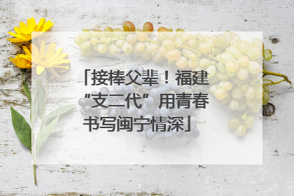 接棒父辈！福建“支二代”用青春书写闽宁情深