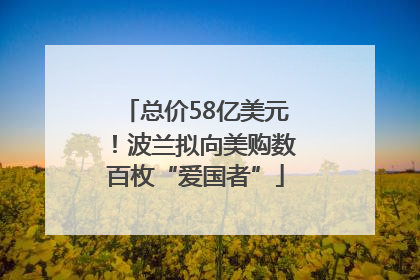 总价58亿美元！波兰拟向美购数百枚“爱国者”