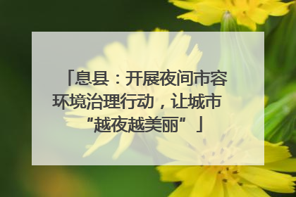 息县：开展夜间市容环境治理行动，让城市 “越夜越美丽”