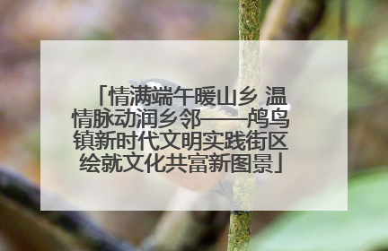 情满端午暖山乡 温情脉动润乡邻——鸬鸟镇新时代文明实践街区绘就文化共富新图景