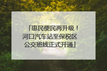 惠民便民再升级！河口汽车站至保税区公交班线正式开通
