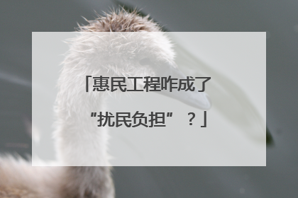 惠民工程咋成了“扰民负担”？