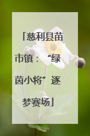慈利县苗市镇：“绿茵小将”逐梦赛场