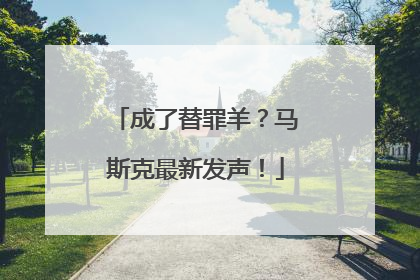 成了替罪羊？马斯克最新发声！
