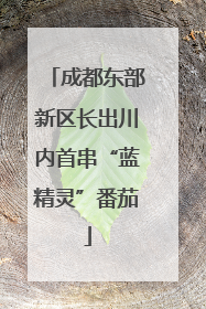 成都东部新区长出川内首串“蓝精灵”番茄