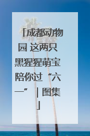 成都动物园 这两只黑猩猩萌宝陪你过“六一”｜图集