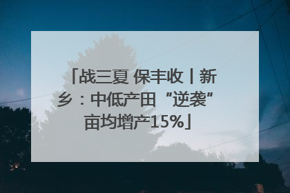 战三夏 保丰收丨新乡：中低产田“逆袭” 亩均增产15%