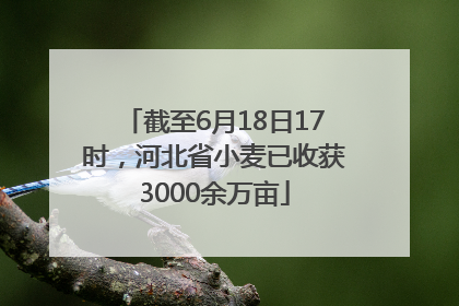 截至6月18日17时，河北省小麦已收获3000余万亩