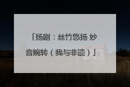 扬剧：丝竹悠扬 妙音婉转（我与非遗）